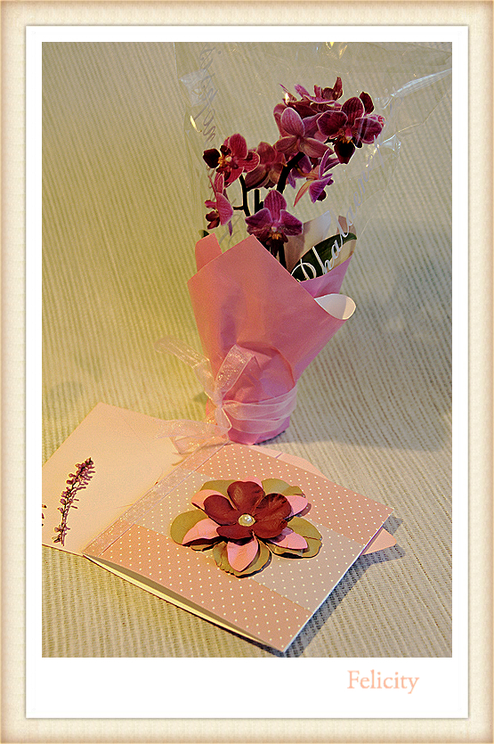 Kartu Ucapan Bunga Kertas – #Made by Love…